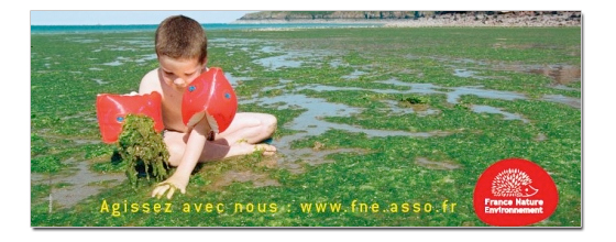 Algues vertes : la Rgion Bretagne renonce  attaquer FNE