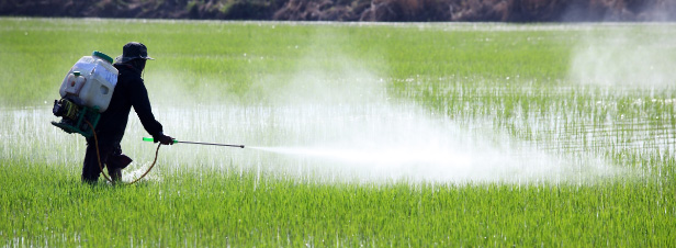 March des pesticides: Dow et DuPont peuvent fusionner sous conditions