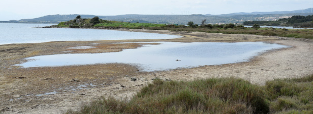 L'tang de Salses-Leucate: nouvelle zone humide franaise reconnu site Ramsar