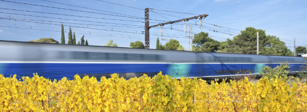 TGV: les lus du Sud-Ouest veulent prserver l'avenir des lignes Bordeaux-Toulouse et Bordeaux-Dax