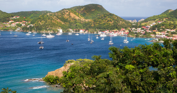 Chlordcone aux Antilles: l'Anses identifie les modes d'approvisionnement alimentaires  risques