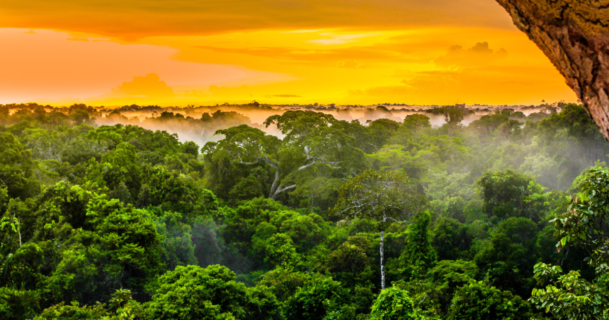 La Cour suprme de Colombie dclare l'Amazonie sujet de droit