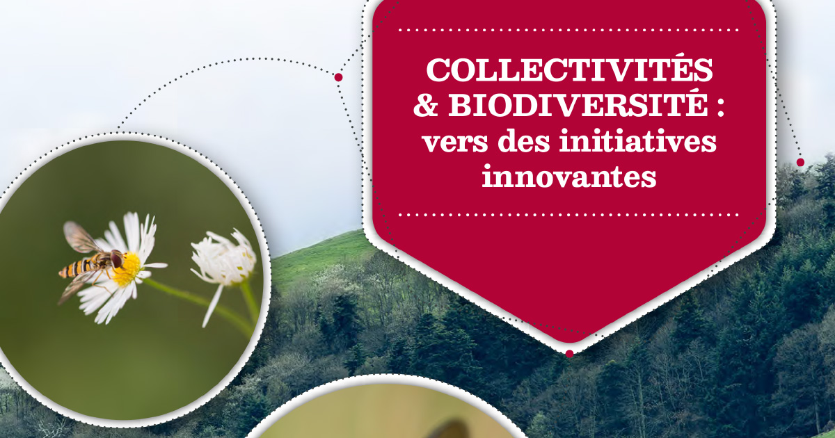 Biodiversit: l'UICN publie quinze leviers d'action pour les collectivits territoriales