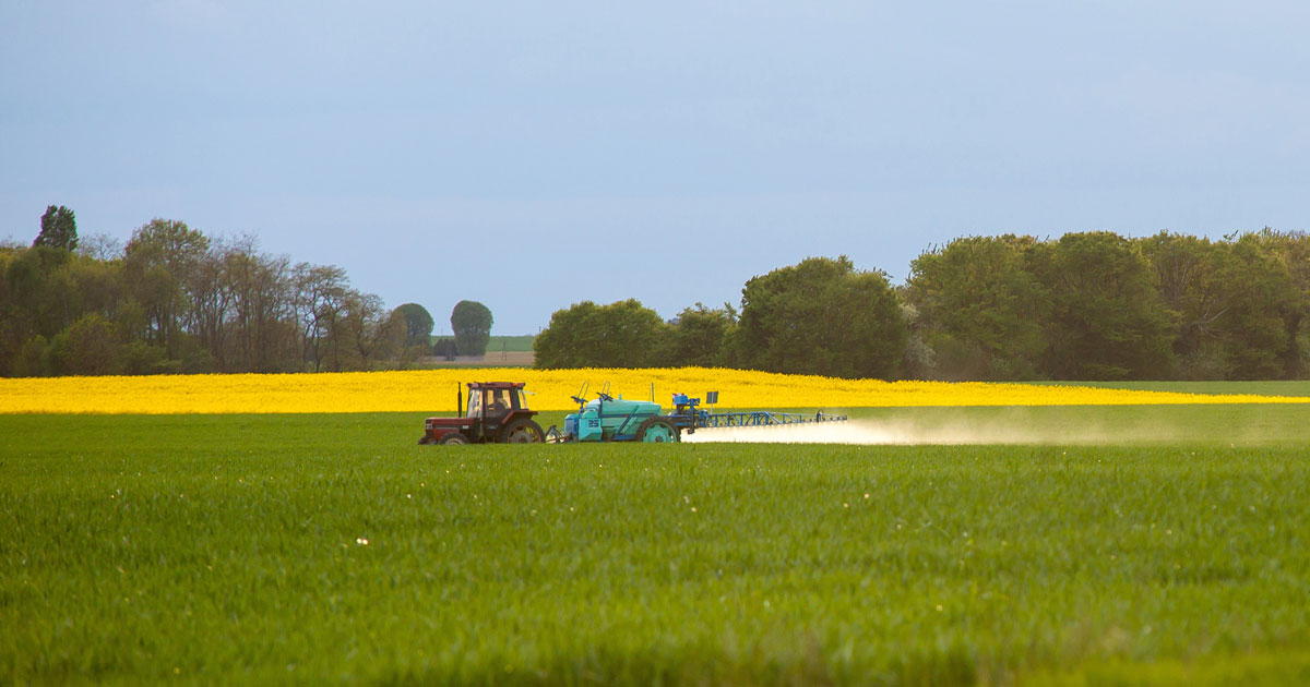 Maine-et-Loire: suspension d'un pesticide  l'origine d'intoxications