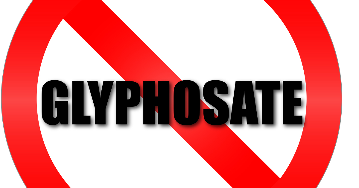 L'Anses retire 132 autorisations de produits  base de glyphosate