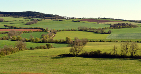 La Rgion Occitanie lance les contrats d'agriculture durable