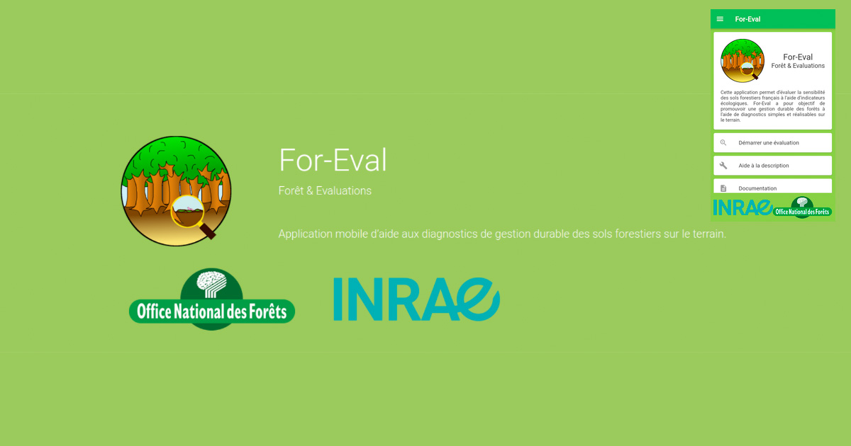 L'Inrae et l'ONF lancent une application mobile pour valuer les sols forestiers