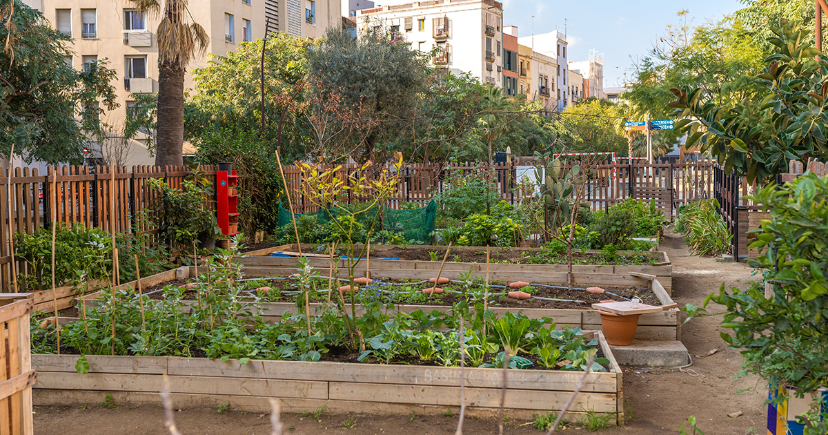 Plan de relance: des appels d'offres pour soutenir les jardins partags et l'agriculture urbaine