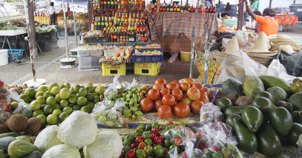 Chlordcone aux Antilles: l'Anses va valuer les expositions par voie alimentaire 