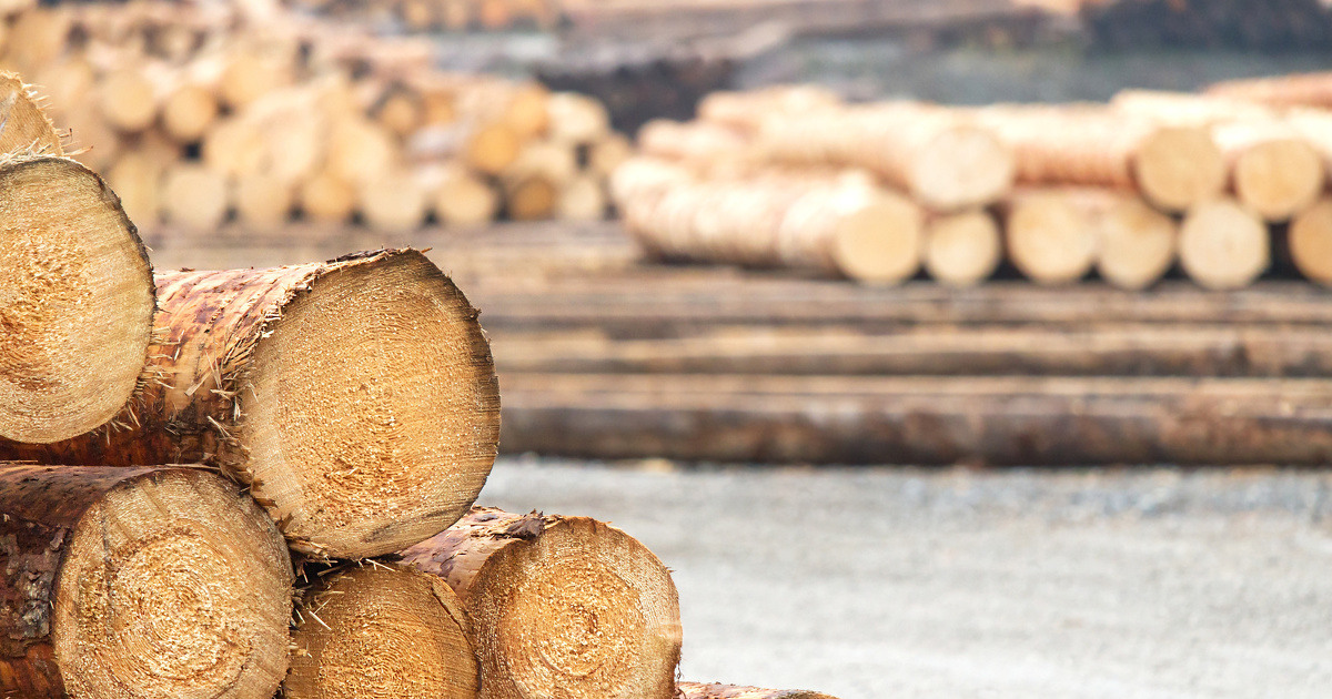 L'tat dbloque 100 millions d'euros supplmentaires pour aider la filire du bois
