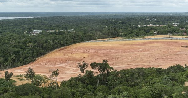 Amazonie: une ONG porte plainte contre Jair Bolsonaro pour crimes contre l'humanit