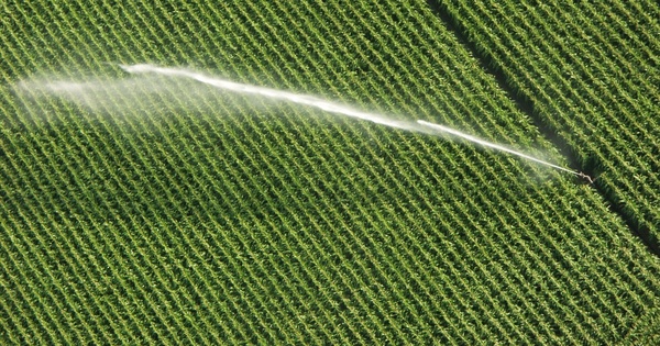 Varenne agricole de l'eau: cinq organisations dnoncent une parodie de consultation