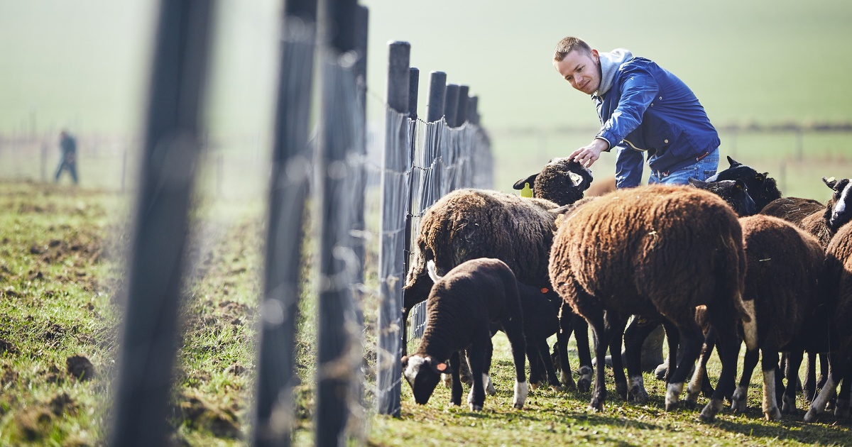 Politique agricole commune: le Parlement europen adopte dfinitivement la rforme 