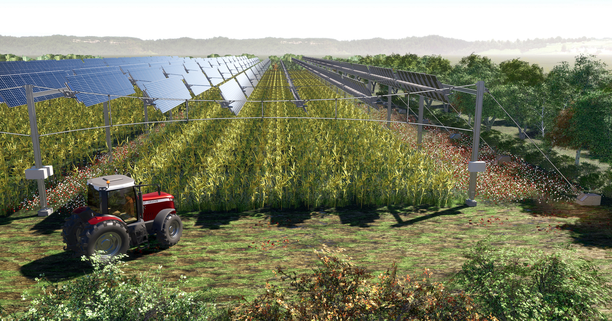 Agrivoltasme: dix sites pilotes mettront en œuvre la solution de canope agricole de TSE