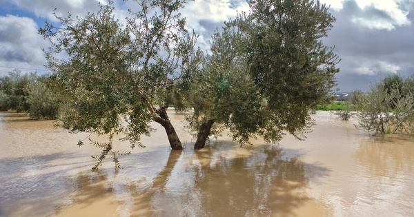 En Mditerrane, le rchauffement climatique provoque des inondations depuis le Moyen-ge