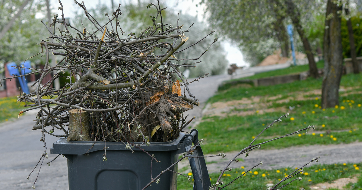 Biomasse: les pouvoirs publics proposent d'assouplir le recours  certains broyats de dchets de bois