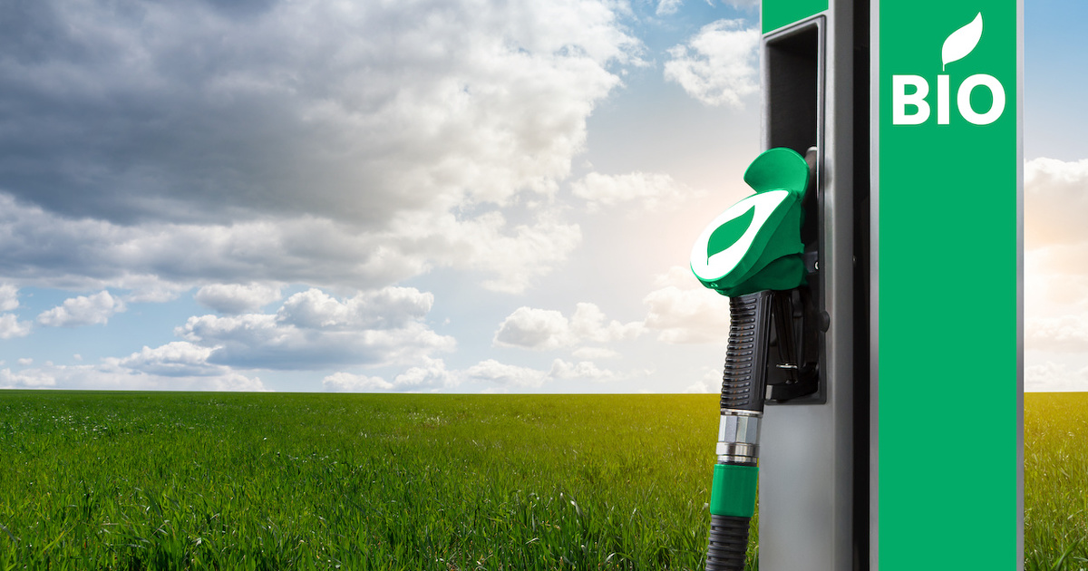 Une mission d'information du Snat se penche sur les biocarburants et l'hydrogne vert