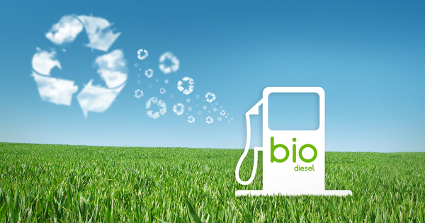 Durabilit des biocarburants: le dispositif national est dclin par filire