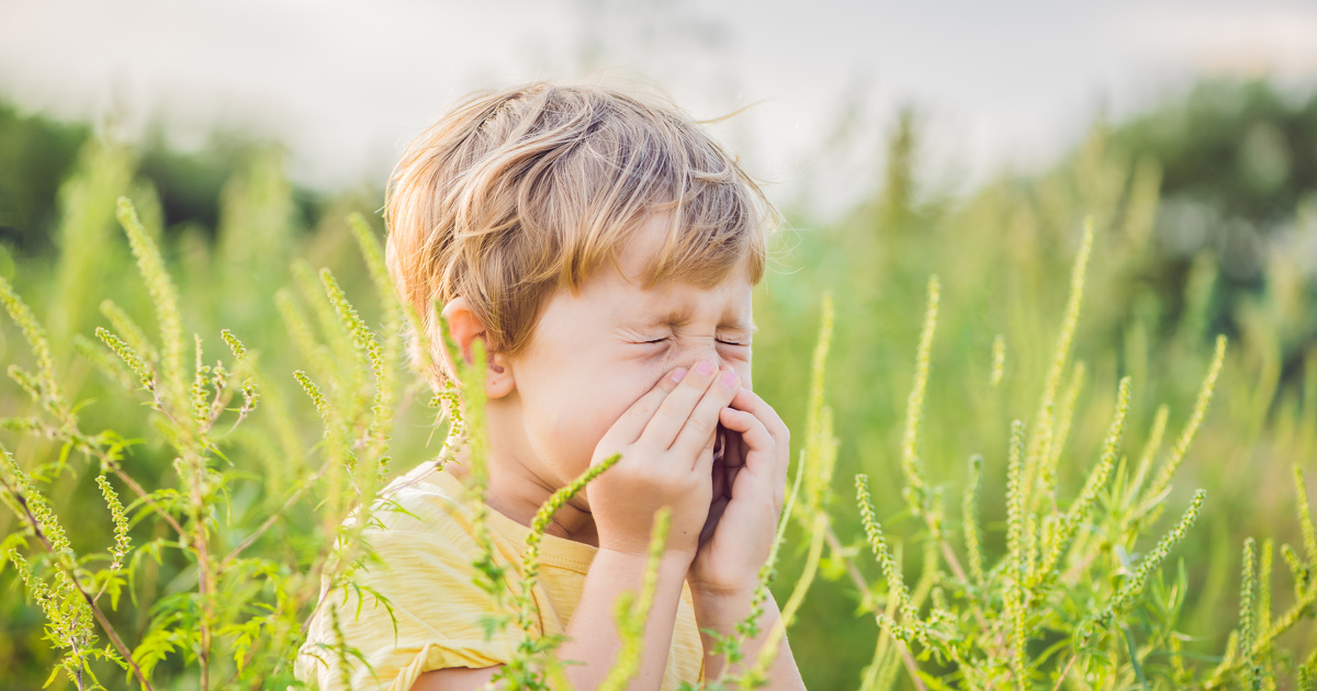Allergies: le rchauffement climatique dope la production de moisissures et de pollens