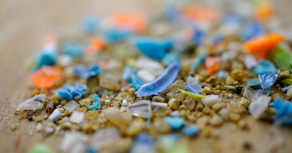 Plastique: une tude dresse un large panorama des dommages sanitaires et environnementaux