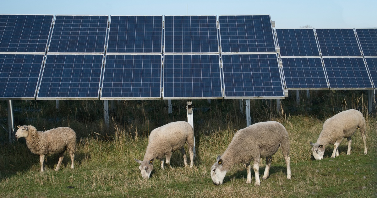 Photovoltaque sur terrain agricole: une instruction ministrielle prcise le cadre actuel