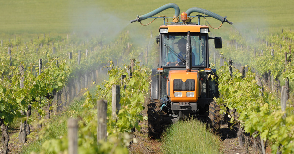 Pesticides: l'Union europenne se prononce contre la rautorisation de six substances