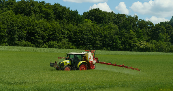 Natura 2000: une instruction vient prciser l'encadrement de l'usage des pesticides par les prfets