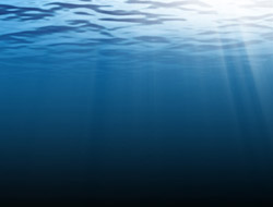L'Alliance pour les sciences de la mer pilotera la recherche marine