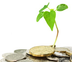 Quels financements pour le green business ?
