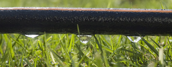 Irrigation : les eaux uses traites pourront dsormais tre utilises