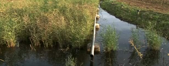 Russir son installation d'puration des eaux uses par filtres plants