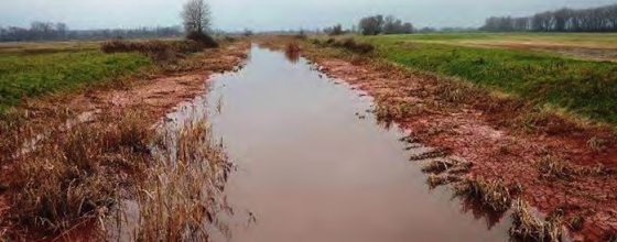 Nettoyage des boues rouges en Hongrie : beaucoup reste à faire