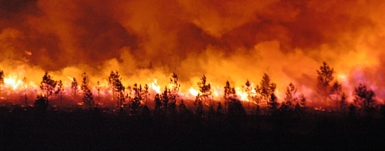 Incendies et climat, un cercle vicieux qui ncessite de nouvelles stratgies de gestion des forts