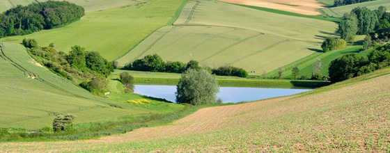 Ressources en eau : le Pnue plaide pour une intgration de l'agriculture dans des agrocosystmes