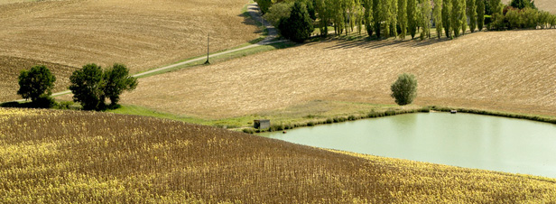L'analyse des impacts environnementaux des retenues d'eau est une priorit pour 2012 