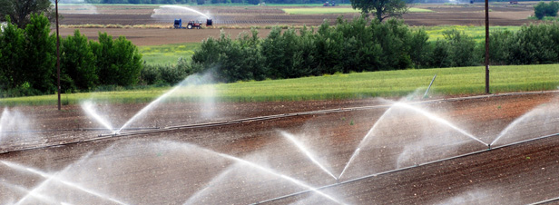 Utilisation d'eaux uses pour l'irrigation : l'arrt valid par le Conseil d'Etat