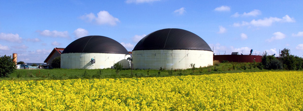Biogaz : un march qui s'avre prometteur malgr des projets encore peu rentables