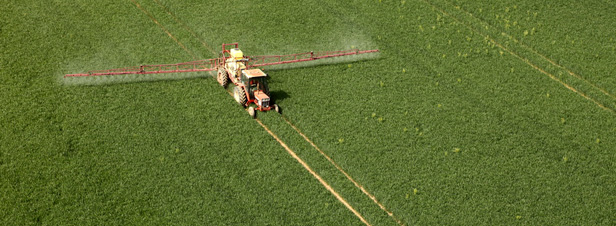 Ecophyto : l'pidmiosurveillance n'est pas adapte  l'objectif de baisse de l'usage des pesticides