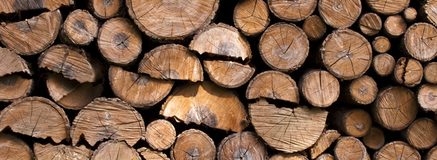 Chauffage au bois :  qui profitera la RT 2012 ?
