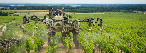 Pesticides : une enqute alerte sur l'exposition des salaris viticoles  