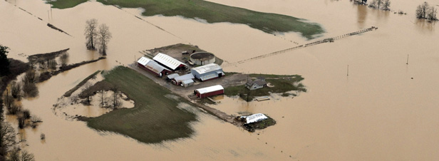 Risque inondation : un rapport pointe l'urgence  finaliser la stratgie nationale