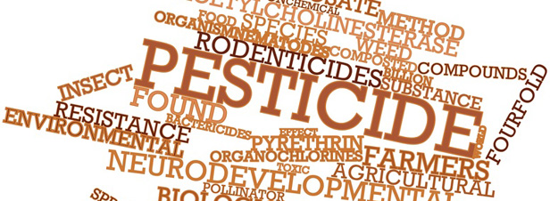 Pesticides et impacts sanitaires : les liens de cause  effet se resserrent