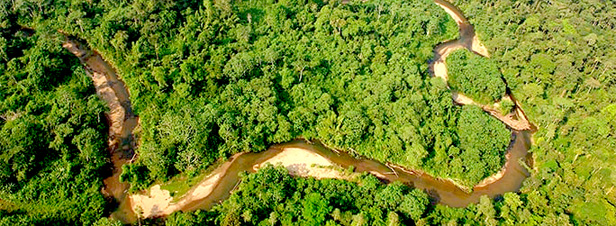 L'Equateur dcide d'exploiter le ptrole du parc Yasun