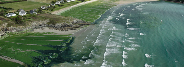 Moins d'algues vertes sur les plages bretonnes cet t
