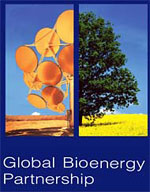 Le Partenariat mondial sur les bionergies se met en place
