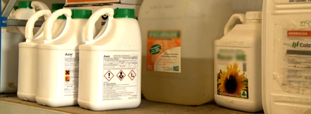 Ecophyto : premire baisse du recours aux pesticides en 2012