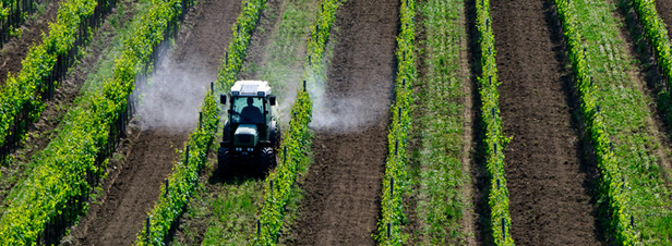 Pesticides : le processus de cration des certificats d'conomie est lanc