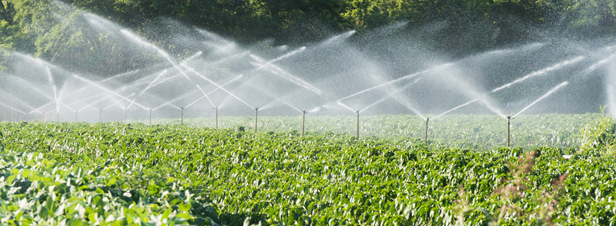 Ressources en eau : les tensions ncessiteront des arbitrages au dtriment de l'agriculture ?