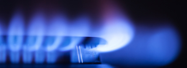 Stabilit du prix du gaz : Sgolne Royal va publier un arrt