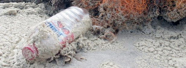 L'impact des déchets plastiques en mer coûte 13 milliards de dollars par an